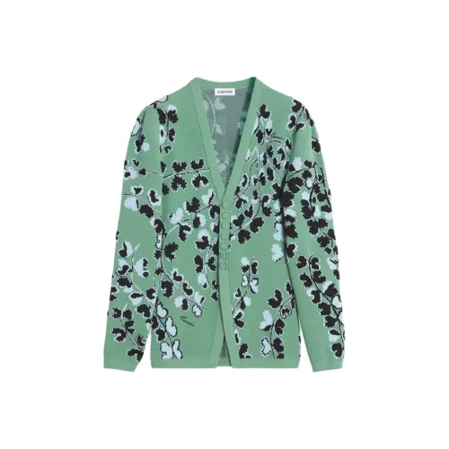 Lanvin Зеленый Женский Трикотаж