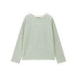 10 Абрикос Зеленый Полосы