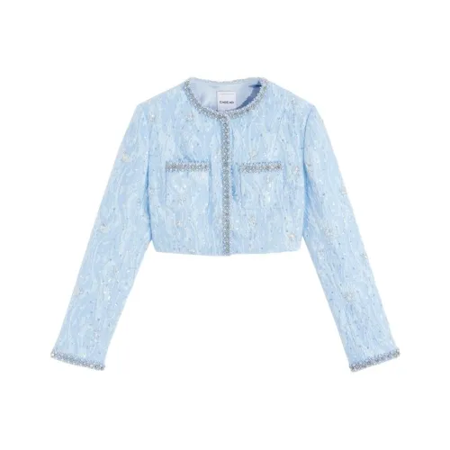 BEBE Куртки и Пальто Женские Синие