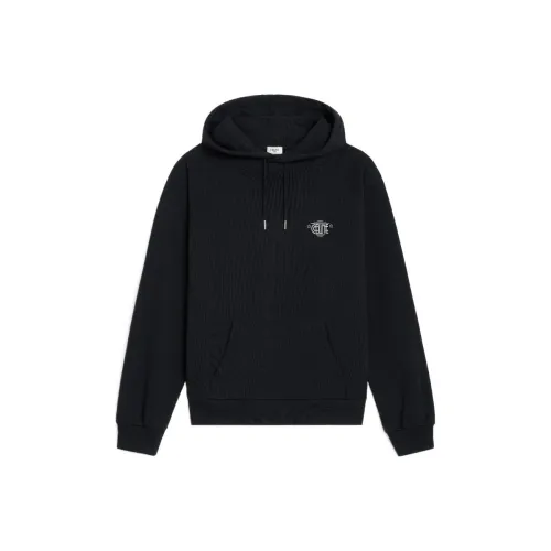 CELINE FW23 Толстовка Женская Черная