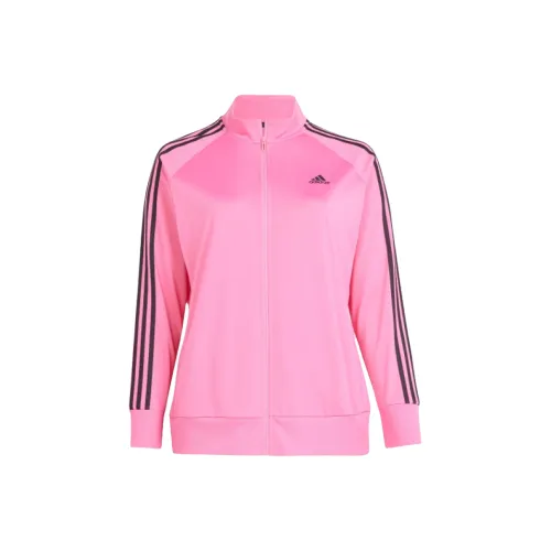 Adidas Essentials Warm Up Tricot Тонкий Спортивный Ретро Стиль Воротник-стойка Куртки Женские Pulse Фиолетовый Розовый Черный