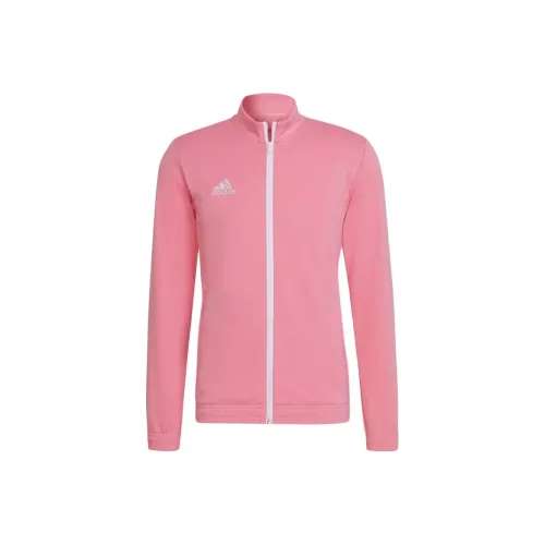 Adidas Entrada 22 Entrada 22 Куртки Пальто Женские Половина Розовый