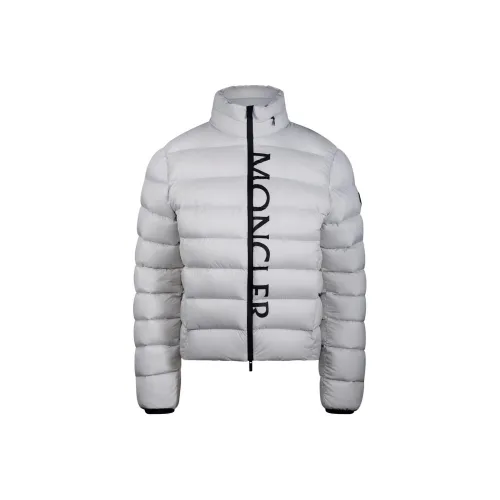 Moncler Серебристо-серые Женские Пуховики