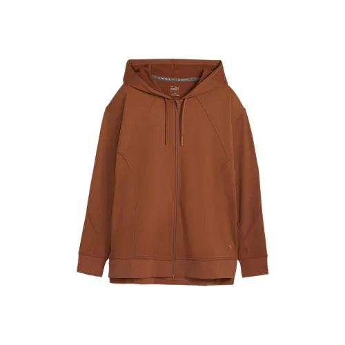 PUMA Женские CLOUDSPUN Full ZIP Тренировки Толстовка Свитшот Женские Коричневый