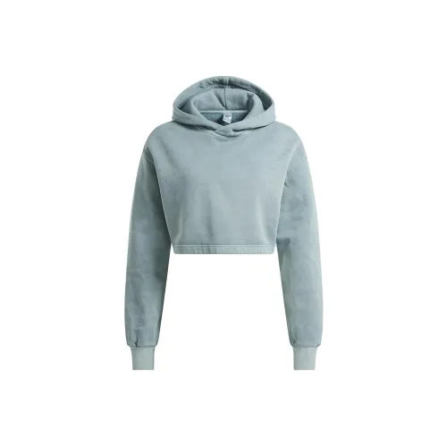 Reebok CL RBK ND Hoodie Толстовка Женская Синяя