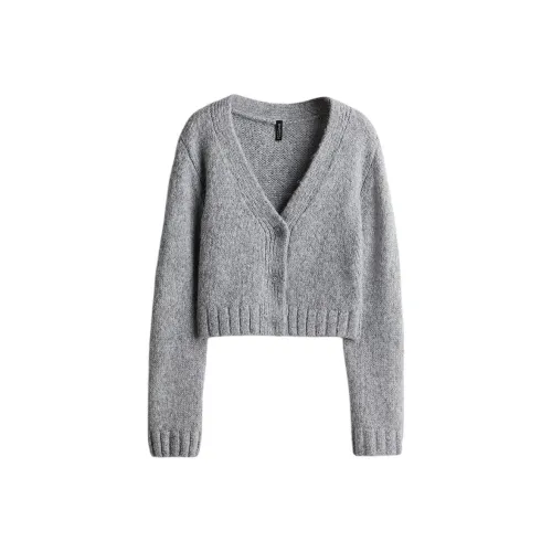 H&M Смешанный светло-серый женский трикотаж
