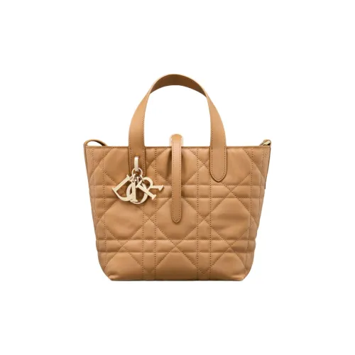 DIOR Toujours Корова Кожа Native Сумка Одно Плечо Сумка Маленькая Женская Светло-Золотая