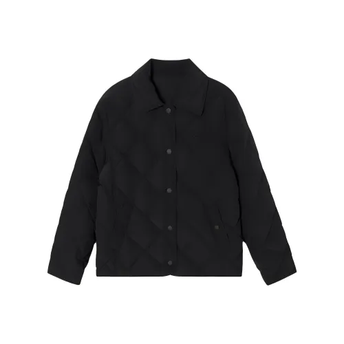 LACOSTE Пуховик Женский Черный