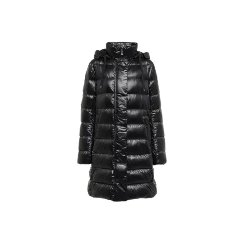 BOGNER Down Jacket Women's Black