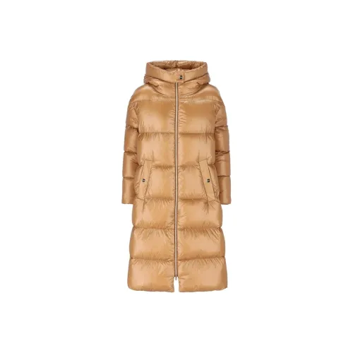 HERNO Down Jacket Women's Brown