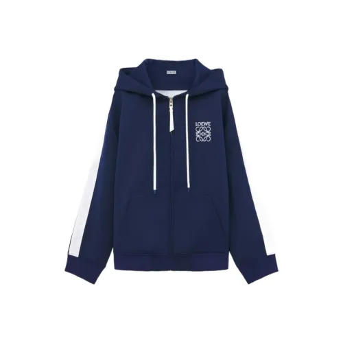 LOEWE FW23 Свитшот Женский Синий