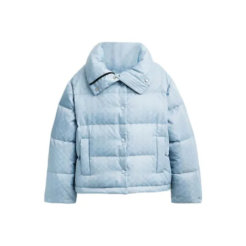 COACH FW24 Пуховик Женский Светло-Синий