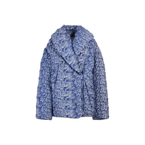 DRIES VAN NOTEN FW22 Пуховик Женский Синий