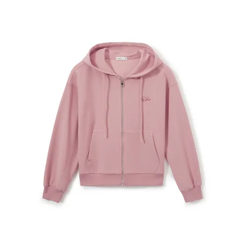 Hotwind Женские Свитшоты