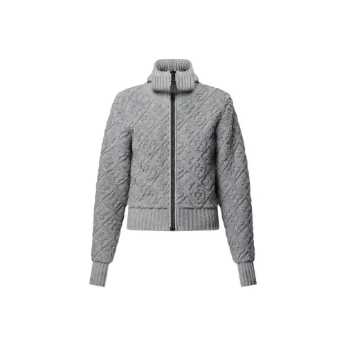 LOUIS VUITTON Трикотаж Женский Серый