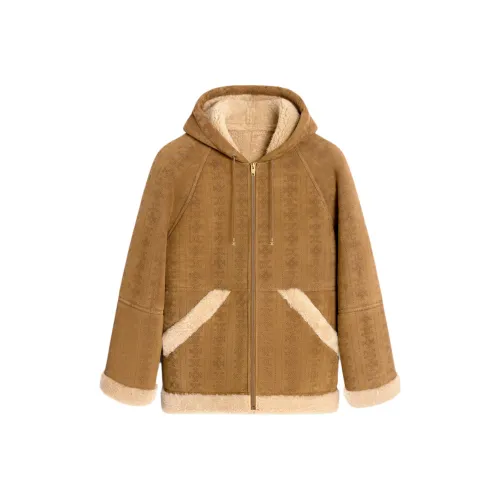 CELINE Куртки и Пальто Женские Хаки