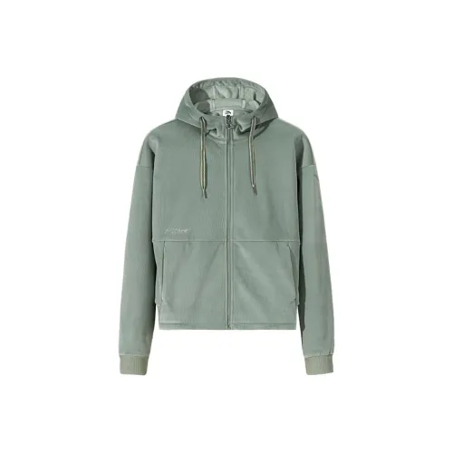 ANTA ZONGXUNXILIE Трикотаж Женские Фрукты Чайно-зеленый