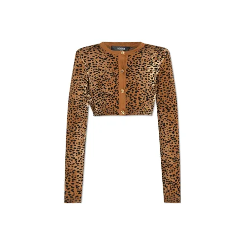 VERSACE Коричневый Женский Трикотаж