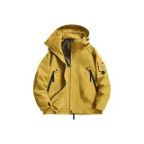 Имбирно-жёлтый (3 в 1)