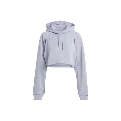 Adidas Hiit AEROREADY Crop Тренировки Толстовка Hoodie Толстовка Women's Silver Фиолетовый