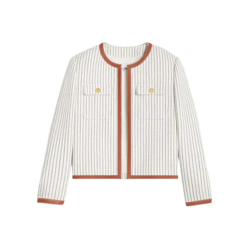 CELINE Челси Куртка В Полосатой Шерсти Куртки и Пальто Женские Экрю