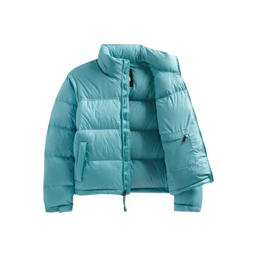 THE NORTH FACE 1996 Collection Пуховик Женские Синий