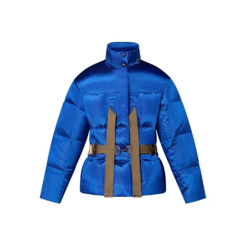 LOUIS VUITTON SS23 Пуховик Женский Синий
