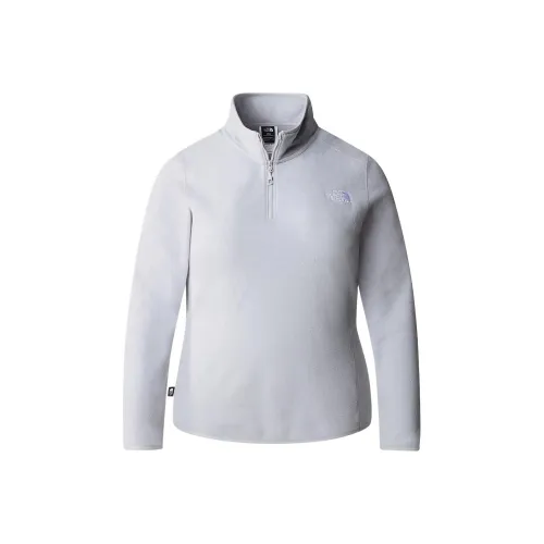 THE NORTH FACE Большой размер 100 GLACIER 1 4 ZIP FLEECE Одежда Женская Серый