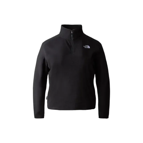THE NORTH FACE Большой размер GLACIER Укороченный 1 4 ZIP Флис Одежда Женская Черная