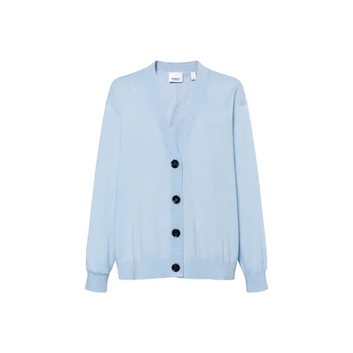 Burberry FW23 Трикотаж Женский Светло-Серый Синий