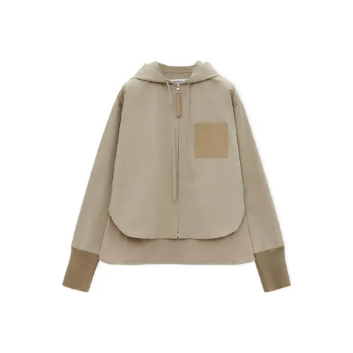 LOEWE FW24 Куртки и Пальто Женские Светлый Бежевый