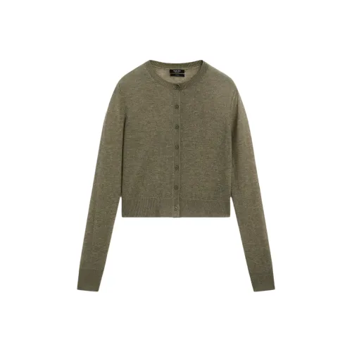 Massimo Dutti Зеленый Женский Трикотаж