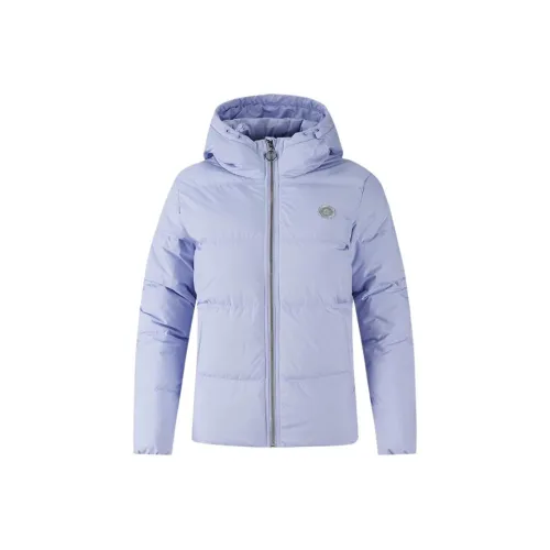 361° Down Jacket Women's Sophie Purple