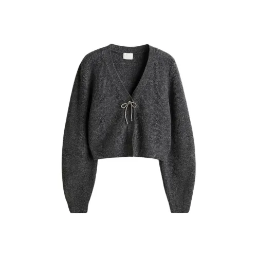 H&M Смешанный темно-серый женский трикотаж