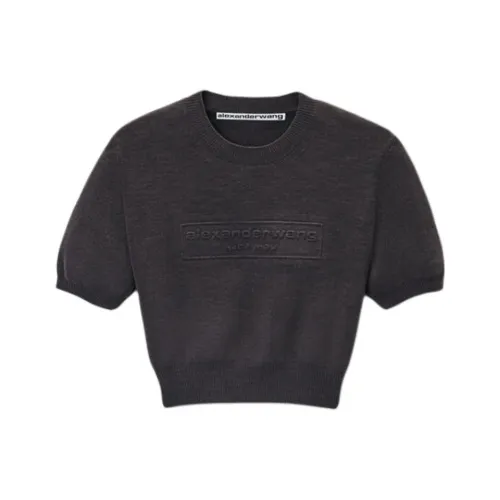 alexander wang Серые Женские Рубашки