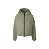 Кедр Зеленый