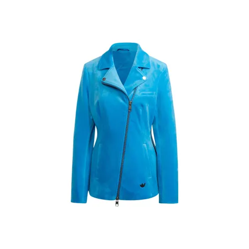 Adidas Originals Blue Version Collection Бизнес-костюм Женские Bird Перо Синий