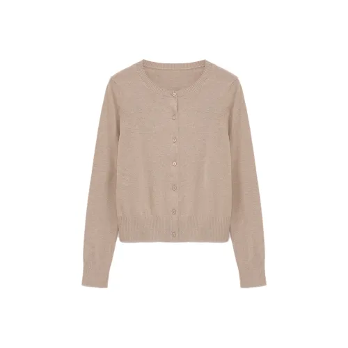 LETTRANS Женская трикотажная одежда