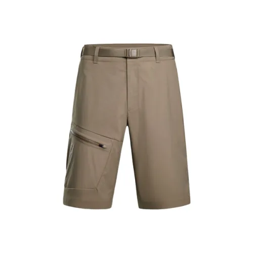 SALOMON OUTERPATH Повседневные шорты Мужские Коричневые