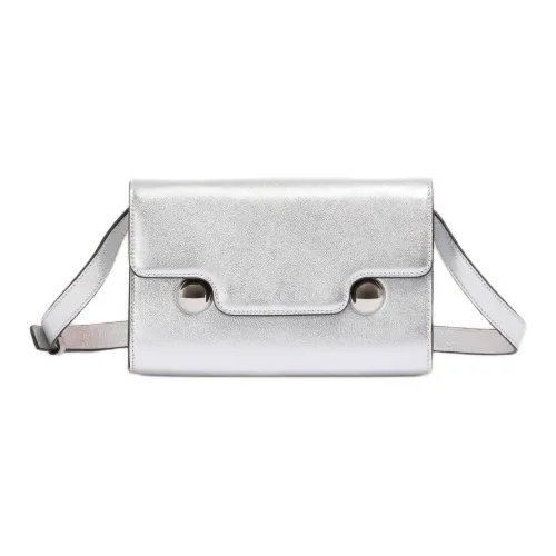 MARNI Trunkaroo Овчина Ручная Сумка на плечо Женская Серебряная