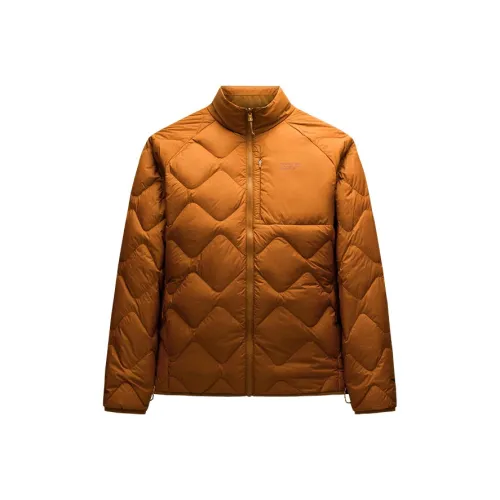 CHAOJIANTA Пуховик Женские Засахаренные фрукты Апельсин