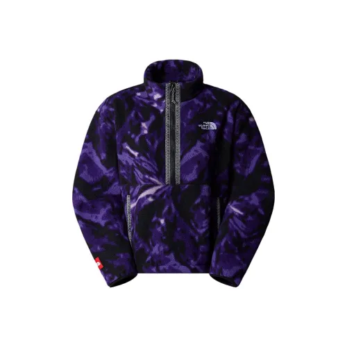 The North Face FW24 Толстовка Женская SUMMIT Фиолетовая