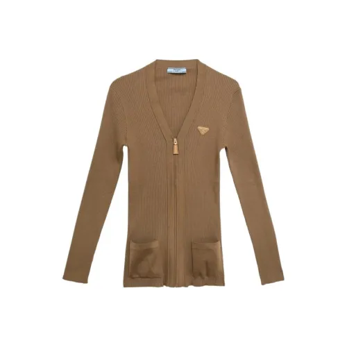 PRADA SS24 Трикотаж Женский Коричневый