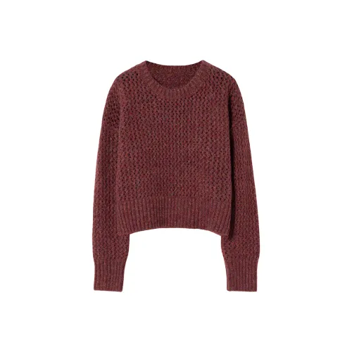 SOON FLOWER Женские Трикотаж