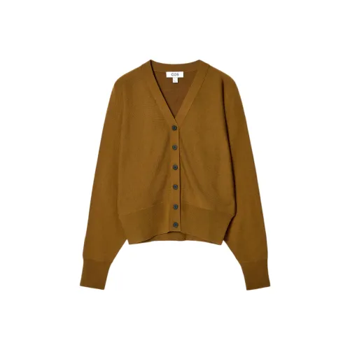 COS Коричневый Женские Трикотаж