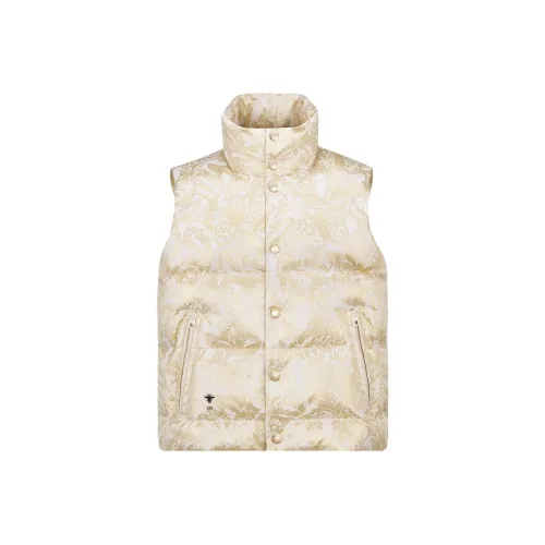 DIOR FW23 Пуховик Женский Золотой