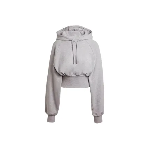 adidas clothing Серый Женские Свитшоты