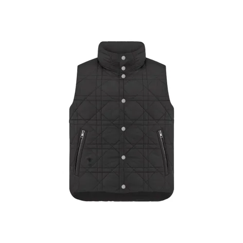 DIOR FW23 Пуховик Женские Черный