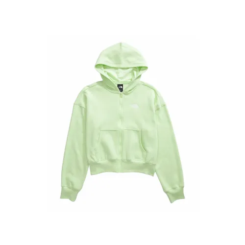 THE NORTH FACE Женская Evolution Full Zip Hoodie Толстовка Женская Зеленая