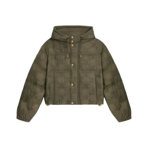 CELINE Triomphe SS25 Пуховик Женский Хаки